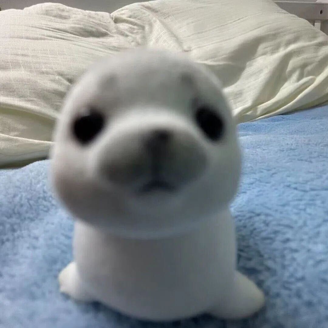 鸡腿大王